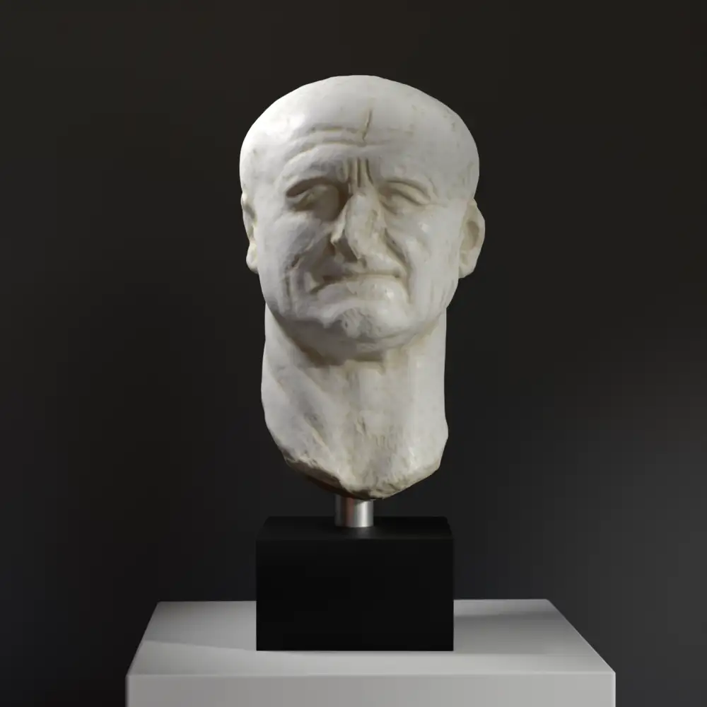 Büste von Vespasian 2 aus hochwertigem Harz mit Marmor- und Bronze-Patina.