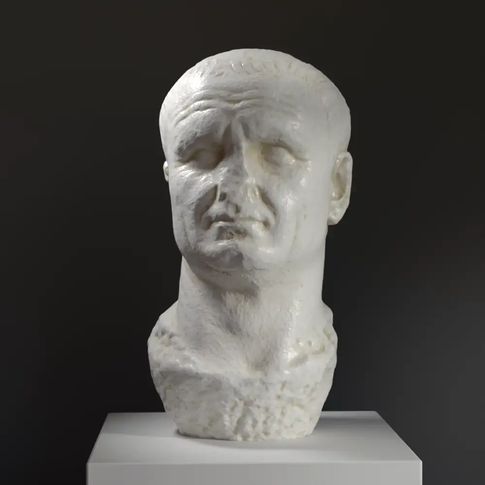 Busto de la Cabeza de una estatua de mármol de Vespasiano en resina con efecto de pátina.