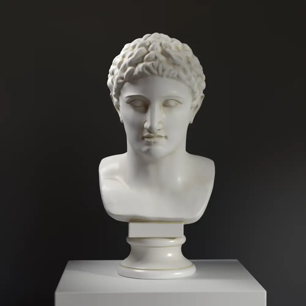 Busto de un Joven en el Museo Estatal del Hermitage de San Petersburgo
