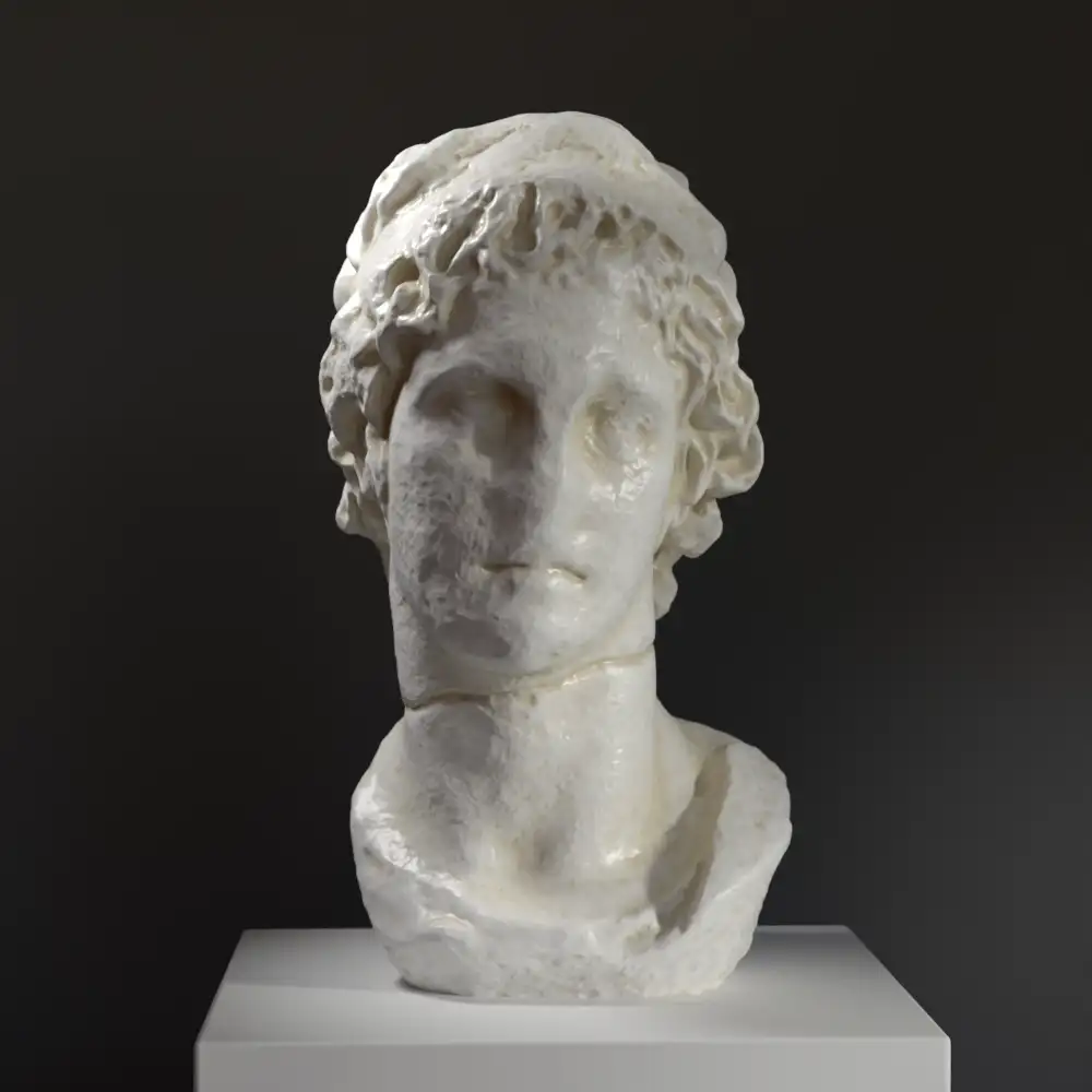 Replica del Busto della Testa di un Sovrano con dettagli raffinati.