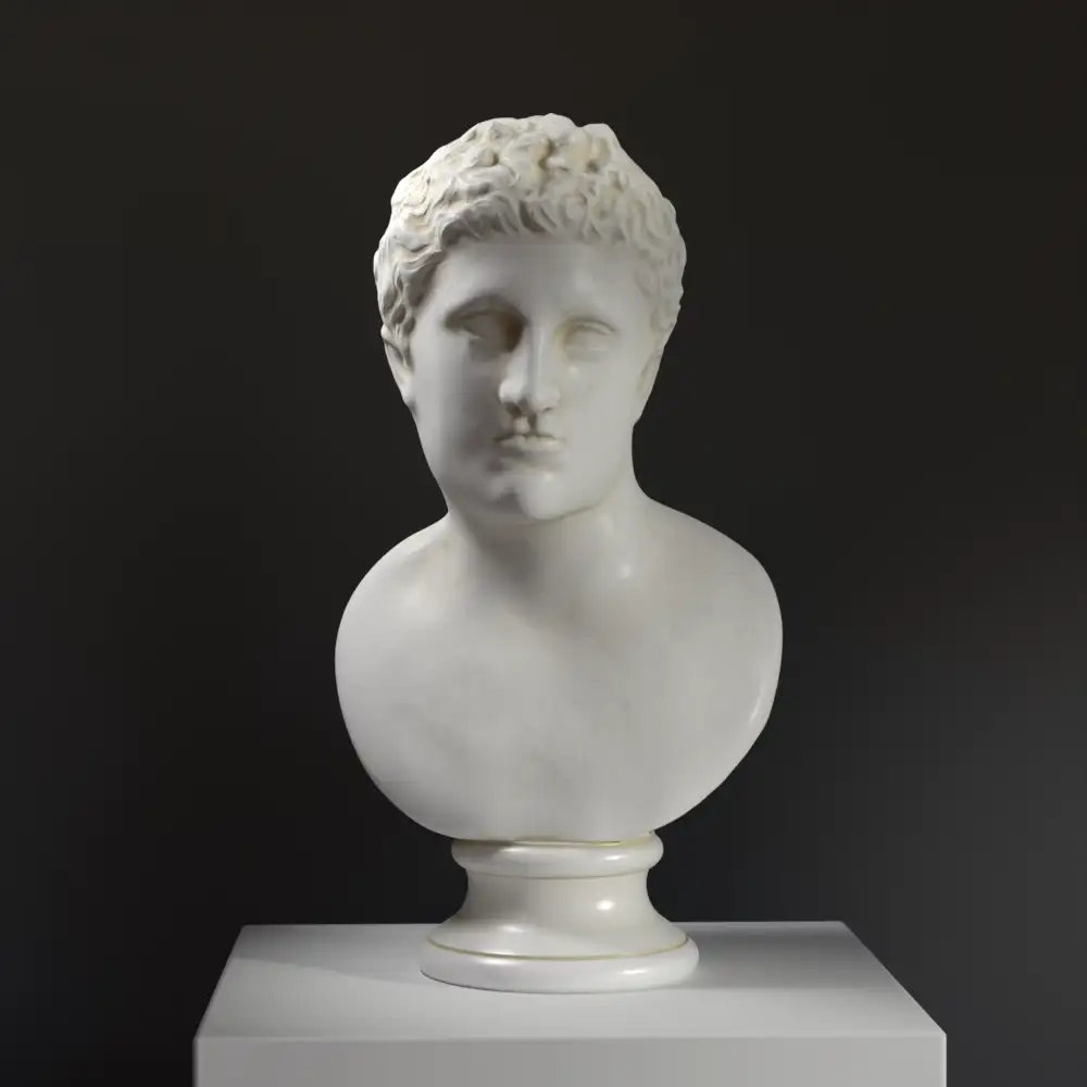 Replica della Testa di Meleagro al Museo Statale Ermitage di San Pietroburgo.